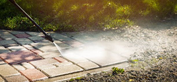 Best Solar Panel Cleaning  in East Franklin, NJ